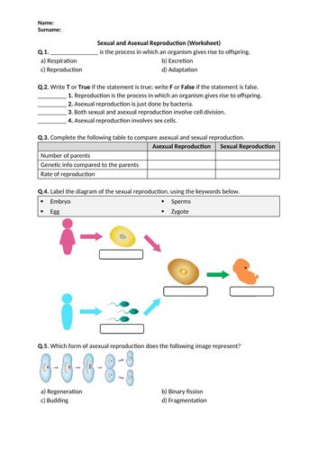 Distance Learning Sexual And Asexual Reproduction Worksheet