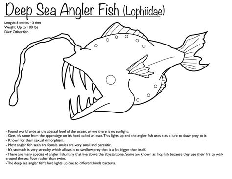 Deep Sea Angler Fish Coloring Page By Finwitch On Deviantart