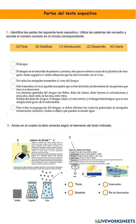 Ejercicio Interactivo De Partes Del Texto Expositivo Dengue Texts