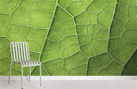 Detailed Leaf Wall Mural Custom Made To Suit Your Wall Size By The Uk