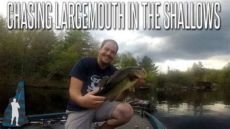 Finding Prespawn And Spawning Largemouth Youtube