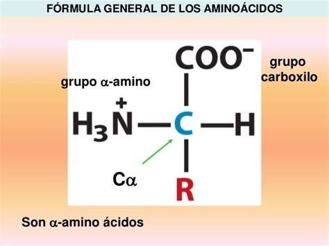 Proteinas I