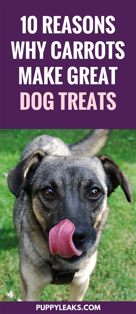 Homemade means customisability, which gives you the chance to opt for healthier ingredients. 10 Reasons Why Carrots Make Great Dog Treats | Carrot dogs ...