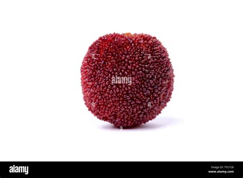 Red Waxberry On White Background Stock Photo Alamy