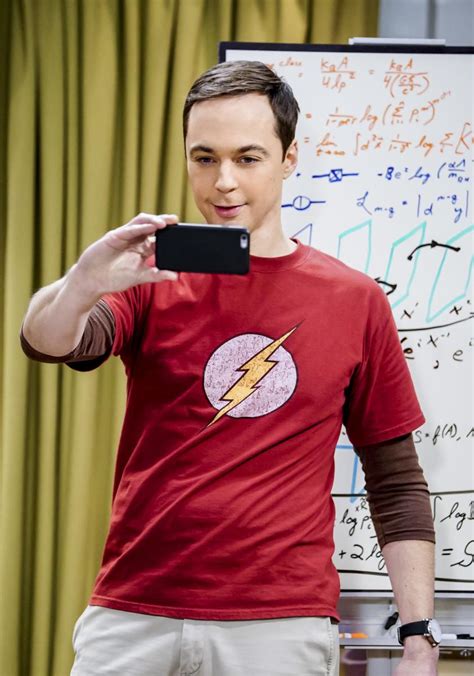 The Big Bang Theory ~ 11x14 The Separation Triangulation Sitcoms