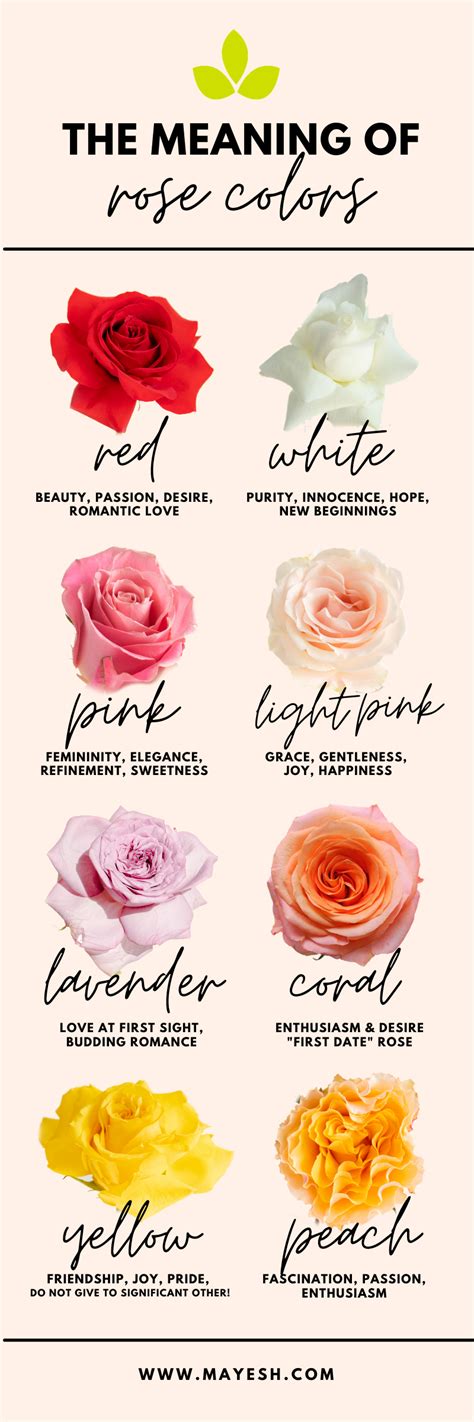 The Meaning Of Rose Colors