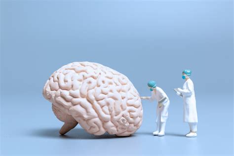 ¿qué Es La Estimulación Cognitiva ¿para Qué Sirve