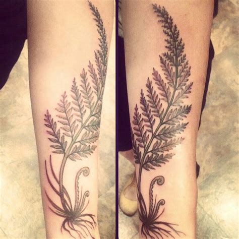 Pin By Josh Hughes On Nature Tattoo Fern Tattoo Tattoos Forearm Tattoos