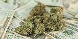 Photos of Medical Marijuana Growers Stocks