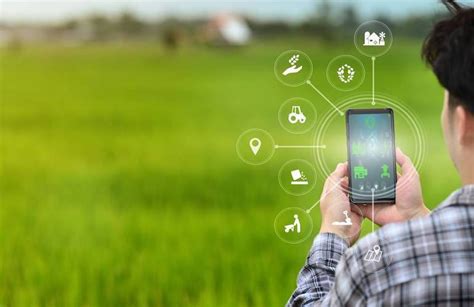 10 Ways Artificial Intelligence Improves Turfgrass Management