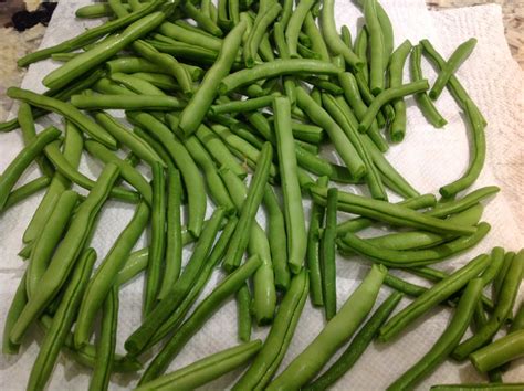 Gluten Free A Z Freeze String Beans Without Blanching