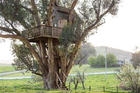 8 Romantic Treehouses to Stay in this Valentine's Day - Outdoor Project