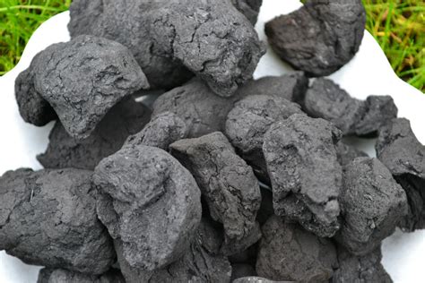 Peat Coal