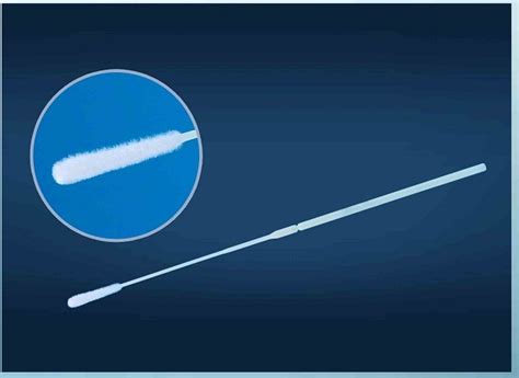 Specimen Collection Flocked Mouth Dna Buccal Swabs Mm Head