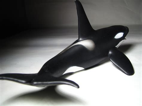 Collecta Animal Toy Figure Orca Killer Whale