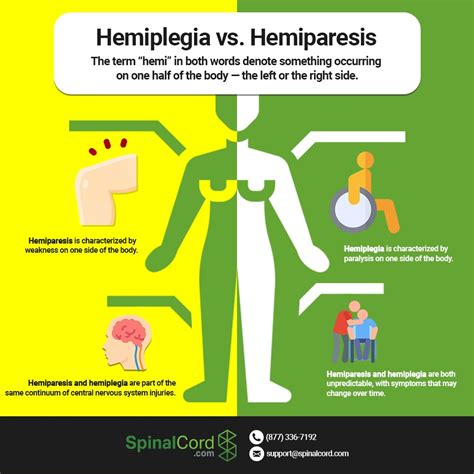 Hemiplegia Vs Hemiparesis Causes Symptoms And Treatment