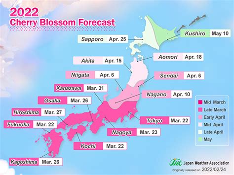 2022 Cherry Blossom Forecast Part 2 Blossoms To Expect On March 22nd