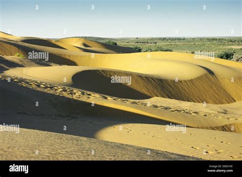 Dunes Of The Thar Desert Rajasthan India Stock Photo Alamy
