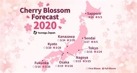 Cherry Blossom Forecast 2020 Whats The Best Time For Cherry Blossom