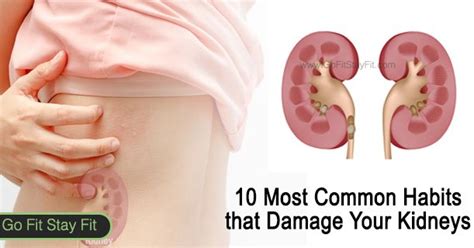 Surprisingly, they're partially within the rib cage! Are The Kidneys Located Inside Of The Rib Cage - Kidney Pain: 10 Causes with Symptoms | hubpages ...
