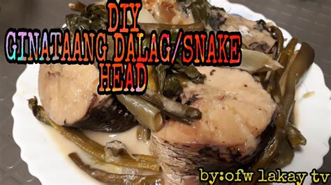 Diyhow To Cook Ginataang Dalagsnakehead Fish Recipe Youtube
