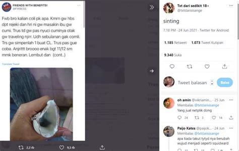 Sep 13, 2021 · sinopsis dari jendela smp, senin, 13 september 2021. Fakta Kangkung Viral dan Cumi-cumi Yang Lagi Trending di ...