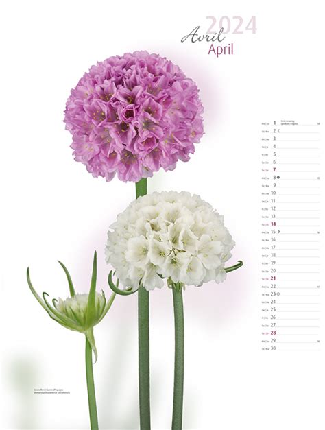 Blumen Kalender 2024