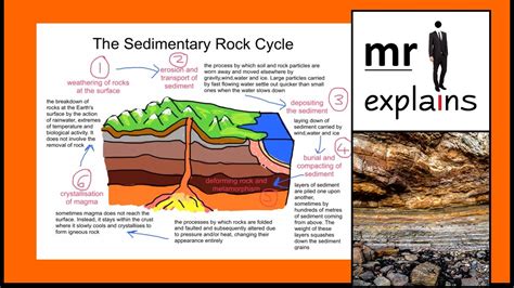 Sedimentary Rock Stages