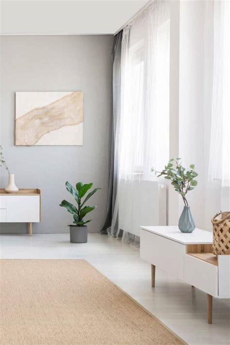20 Cozy Minimalist Living Room Decor Ideas Shannon Torrens