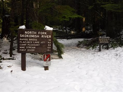 North Fork Skokomish River And Flapjack Lakes — Washington Trails