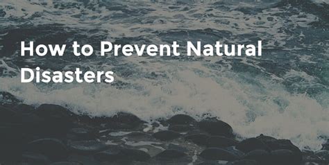 6 Surprising Ways To Prevent Natural Disasters - The Sustainable Living