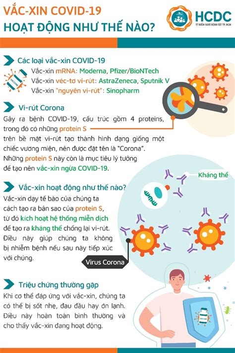 It was first identified in december 2019 in wuhan,. Vắc xin phòng COVID-19 và vấn đề sinh sản, nuôi con bằng ...