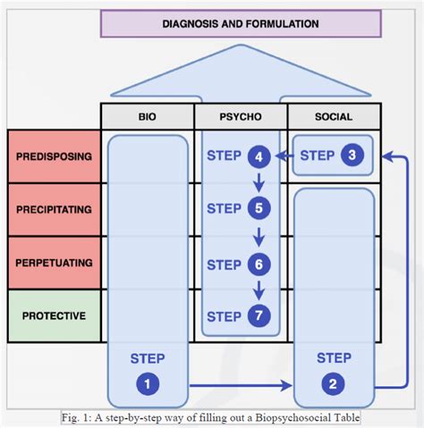 Biopsychosocial Model And Case Formulation Download Scientific Diagram