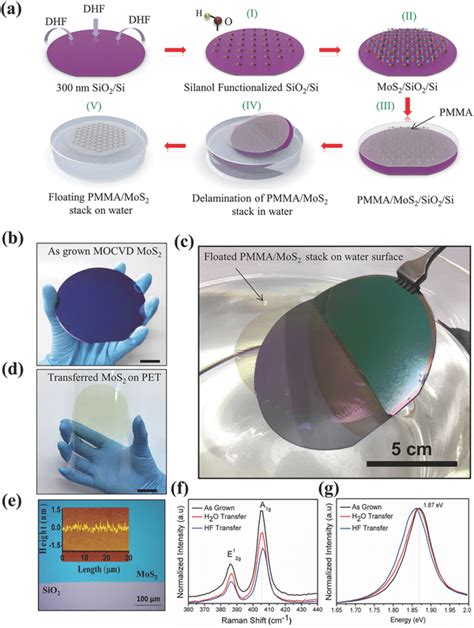 A Schematic Of The Surface‐functionalized Water‐assisted Wafer‐scale