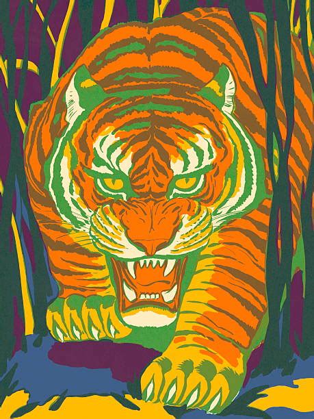 Prowling Tiger Illustrations Royalty Free Vector Graphics And Clip Art