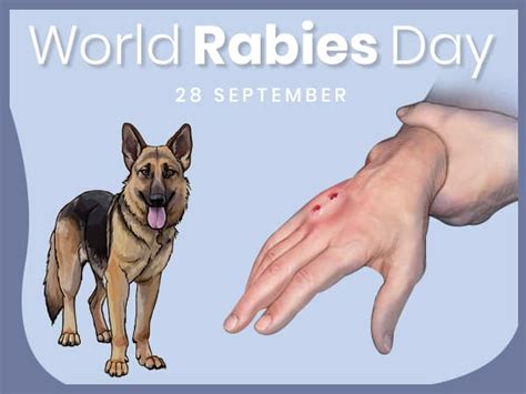 World Rabies Day 2019: Date, History, Theme And Significance - Boldsky.com