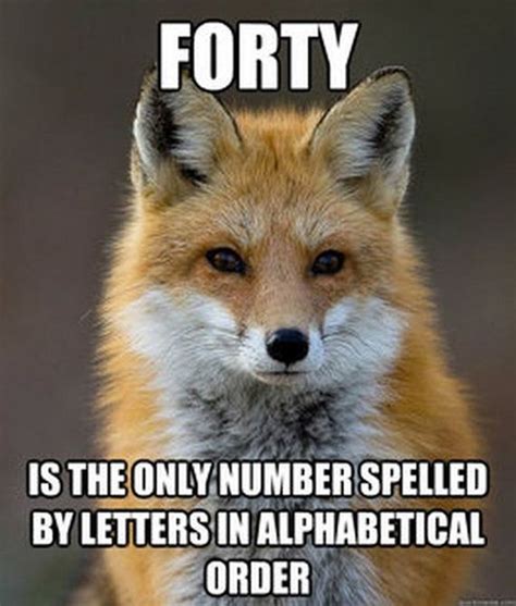 Fun Fact Fox Meme Barnorama