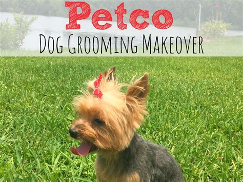 Love your pets, dog grooming, cat grooming, dog clothing, dog toys, dog leads, dog collars dog coats, alpacapooch, alpaca, islington, n1, london. Petco Dog Grooming Makeover