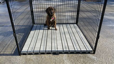 The Best 5 Dog Kennel Flooring Ideas Reviewed And Considered