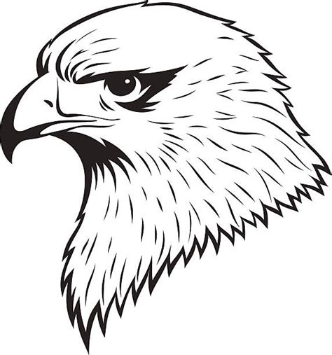 American Eagle Head Profile Illustrations Royalty Free Vector Graphics