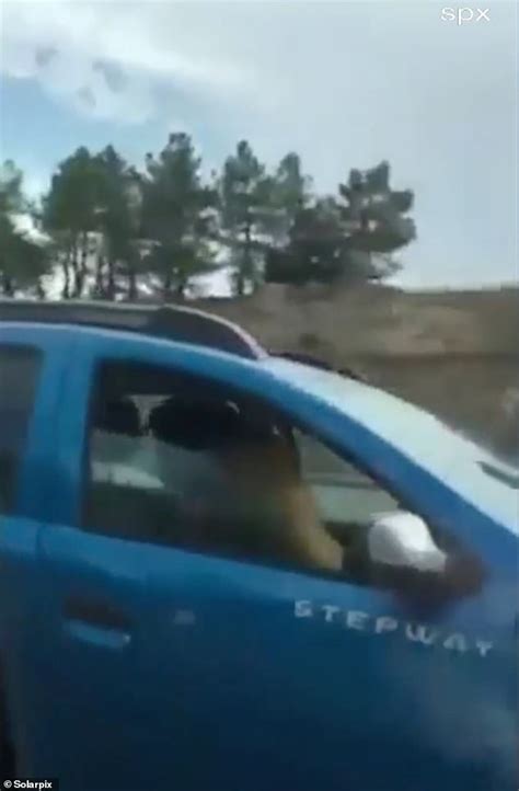 Shocking Moment Couple Are Caught Having Sex While Driving Down The My Xxx Hot Girl
