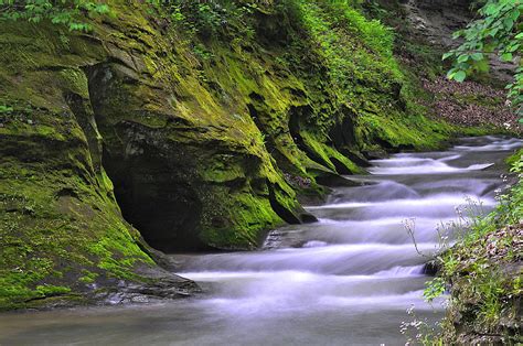 Fall Creek Gorge Nature Preserve Warren County Indiana Photograph By