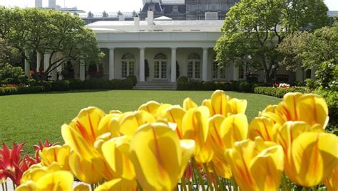 We would like to show you a description here but the site won't allow us. See Photos and Learn About the White House Gardens | White ...
