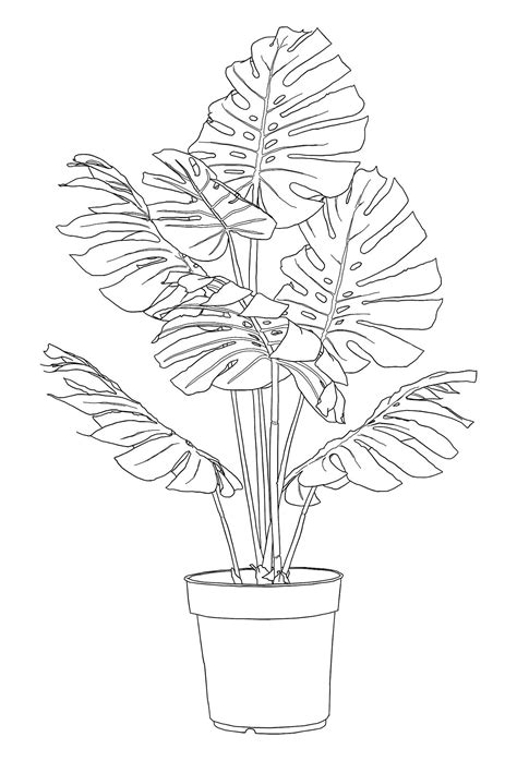 Black Summer Dk Flower Drawing Line Art Drawings Plant Drawing
