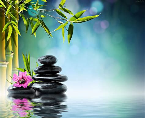 Zen Water Wallpapers Top Free Zen Water Backgrounds Wallpaperaccess