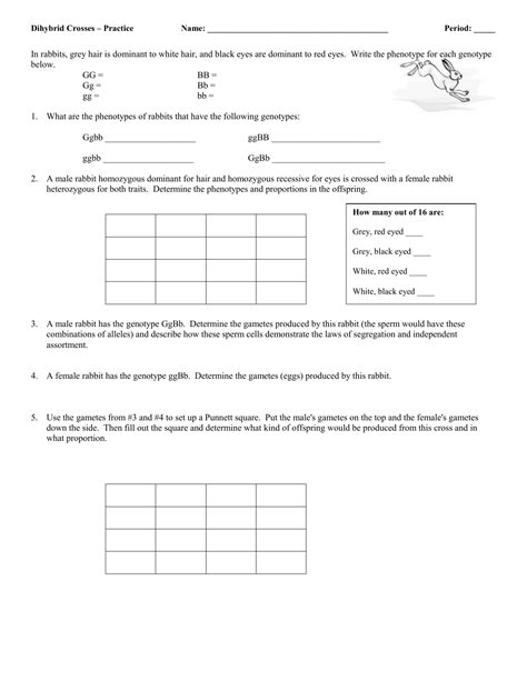 Dihybrid crosses — definition & examples. Dihybrid cross worksheet answers rabbits