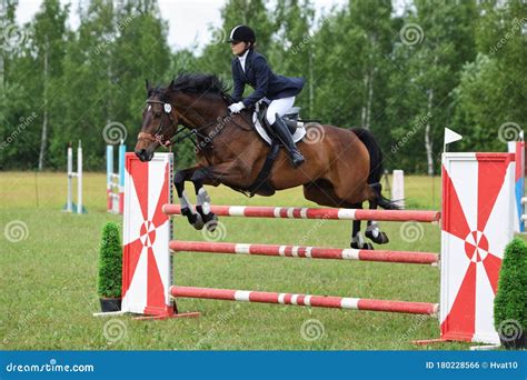 Rider On Bay Horse Jumping Obstacle At Concours Hippique Show Stock