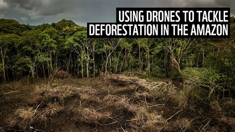 How To Help Save The Amazon Rainforest Soupcrazy1