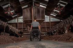 Httpswww Emplus Assistenzdienst Degaming