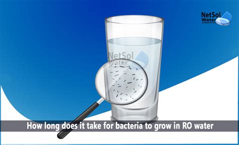 How Long Does It Take For Bacteria To Grow In Ro Water
